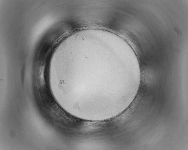 X0000110681150200907101122