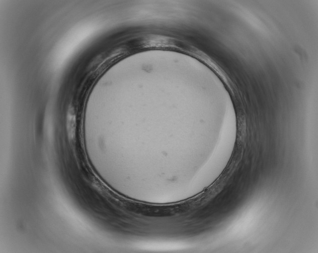 X0000110681151200907101122