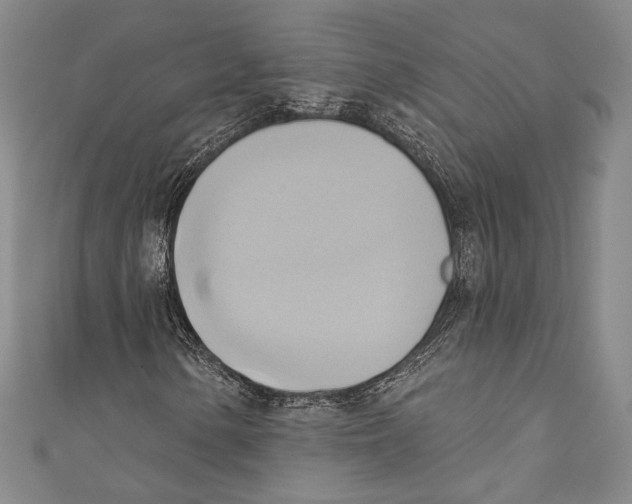 X0000110681154200907101121