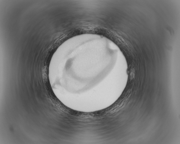 X0000110681156200907101121