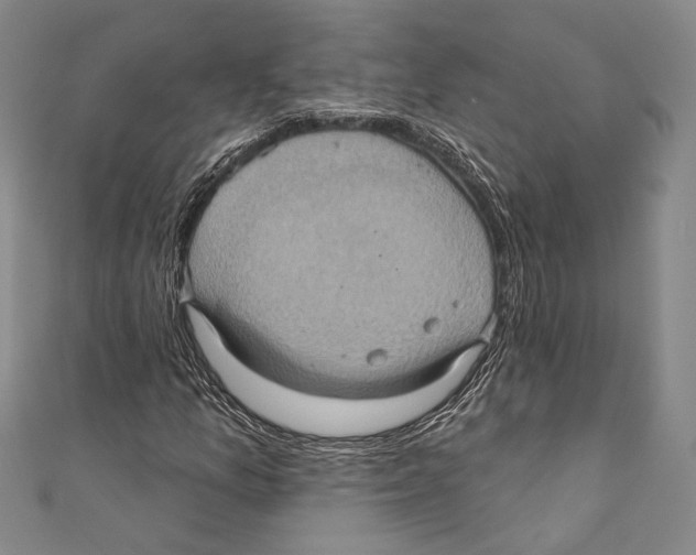 X0000110681157200907101121
