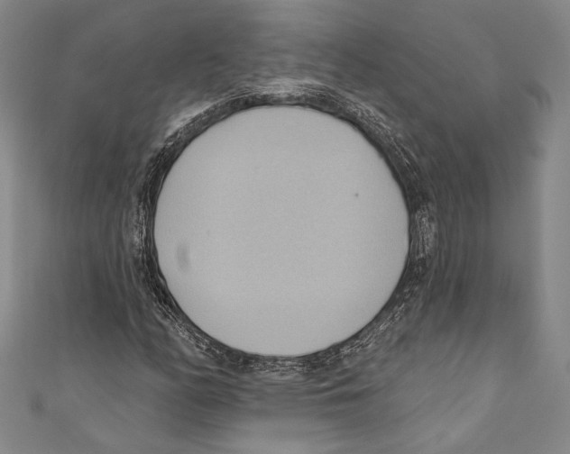 X0000110681158200907101121