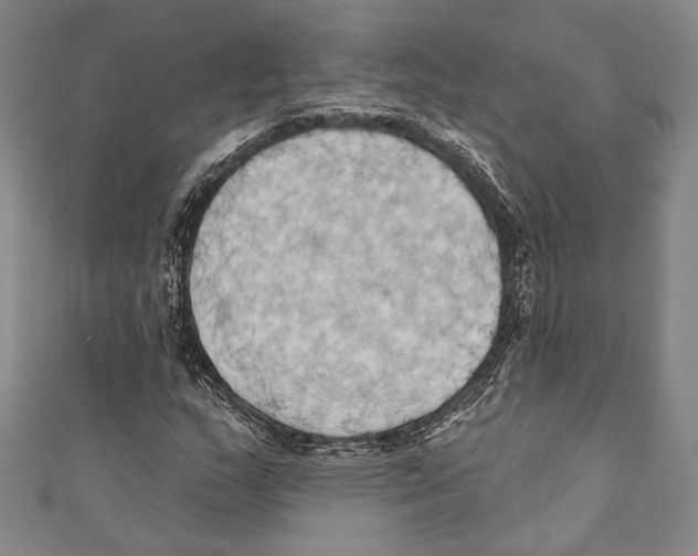 X0000110681159200907101121