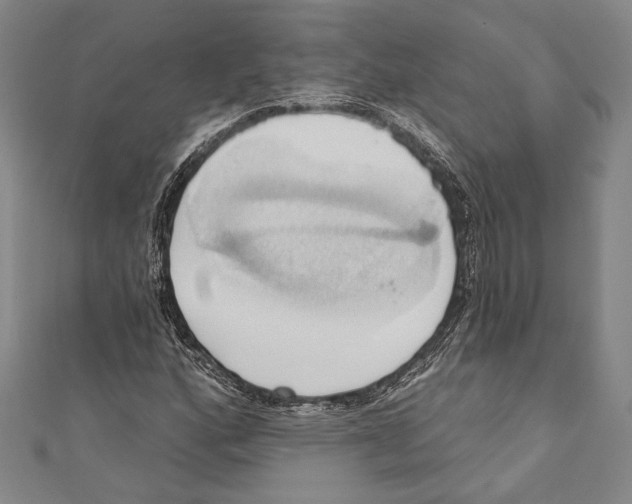 X0000110681160200907101121
