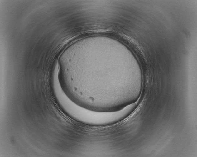 X0000110681161200907101121