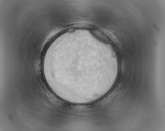X0000110681164200907101121