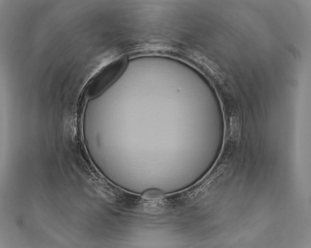 X0000110681165200907101121