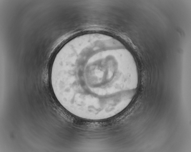 X0000110681167200907101121