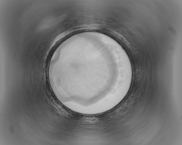 X0000110681168200907101121