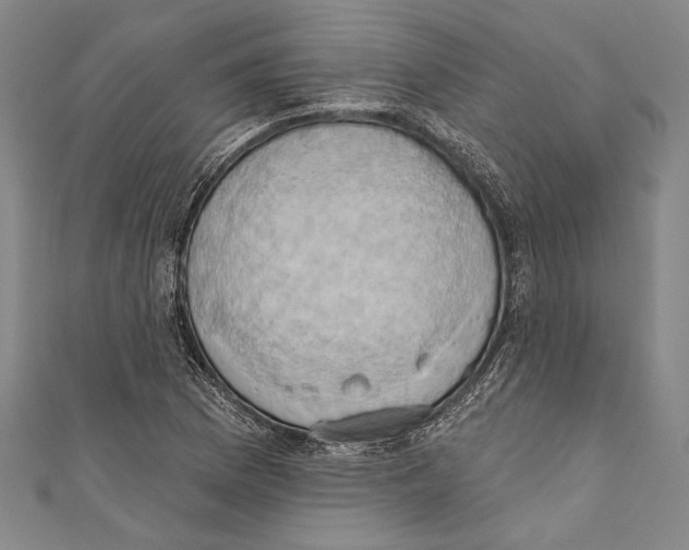 X0000110681169200907101121