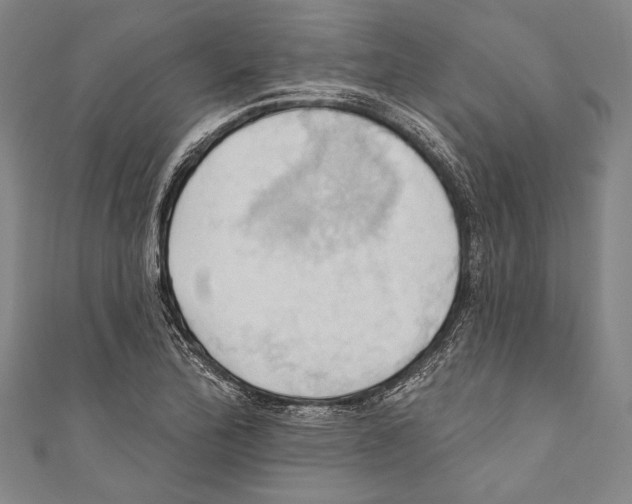 X0000110681172200907101121