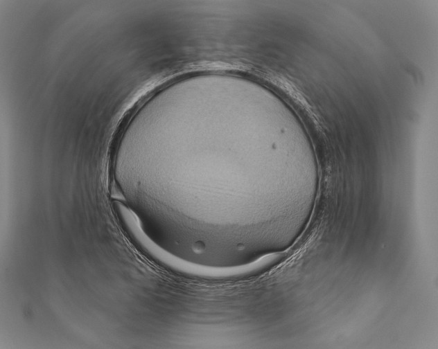 X0000110681173200907101121