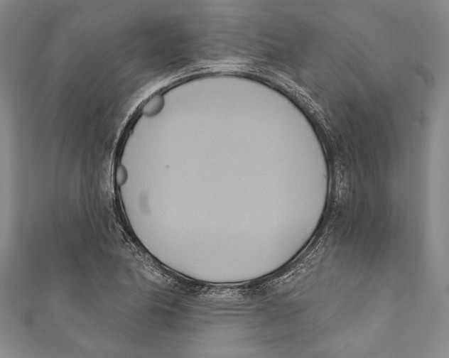 X0000110681174200907101121