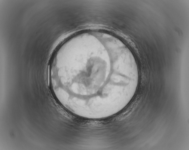 X0000110681175200907101121