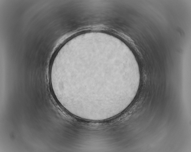 X0000110681176200907101121