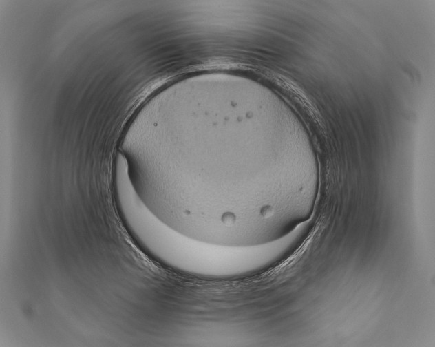 X0000110681177200907101121