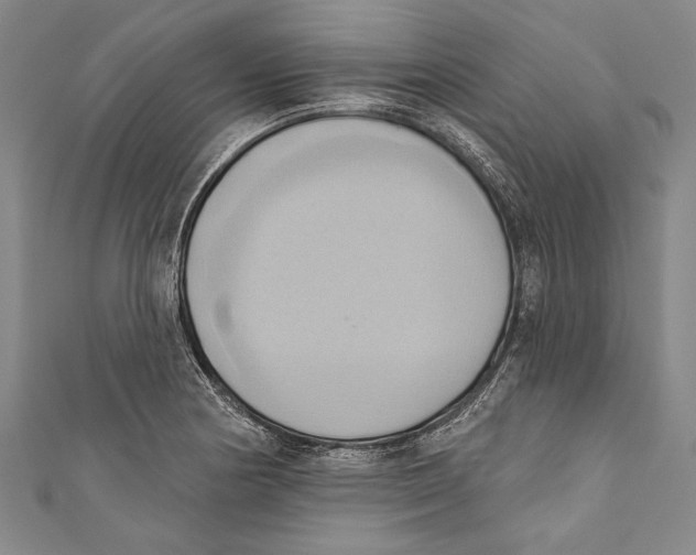 X0000110681178200907101121