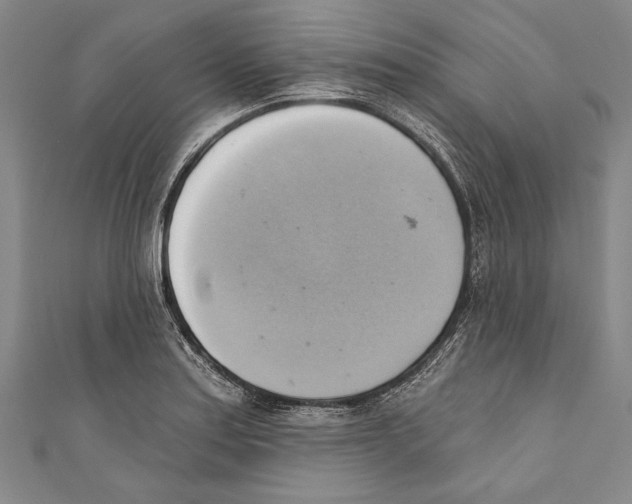X0000110681179200907101121