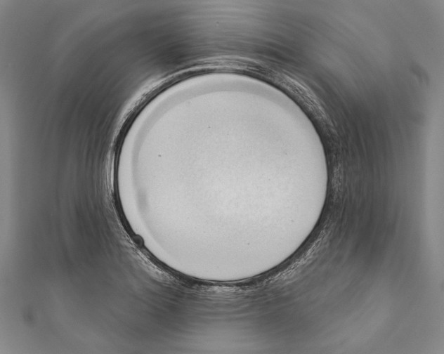X0000110681180200907101121