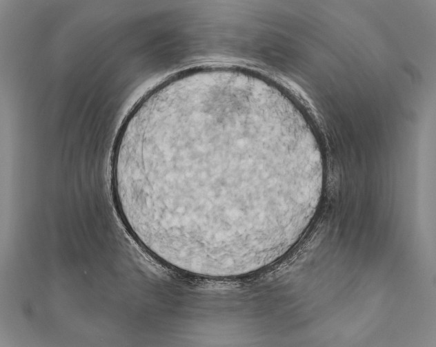 X0000110681183200907101121