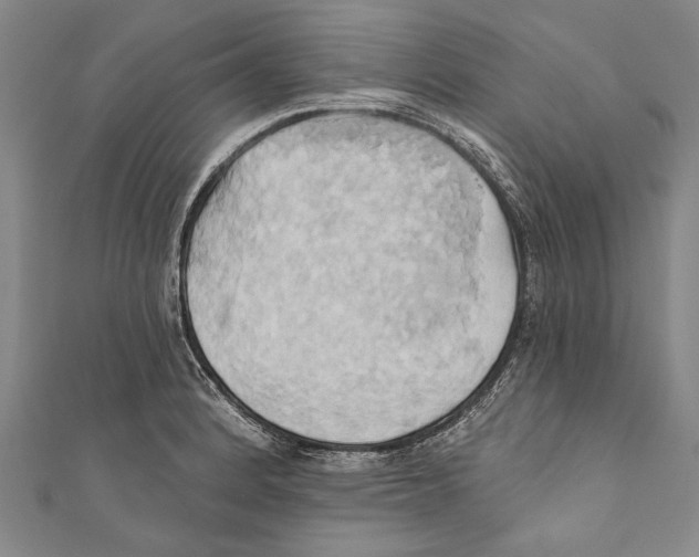 X0000110681184200907101121