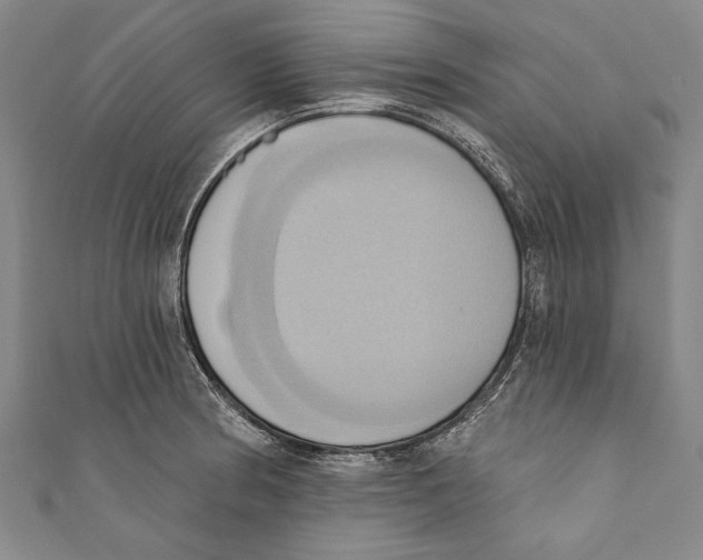 X0000110681186200907101121