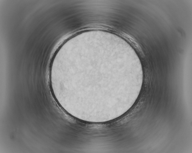 X0000110681188200907101121