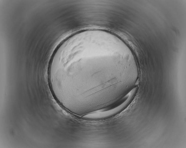 X0000110681189200907101121