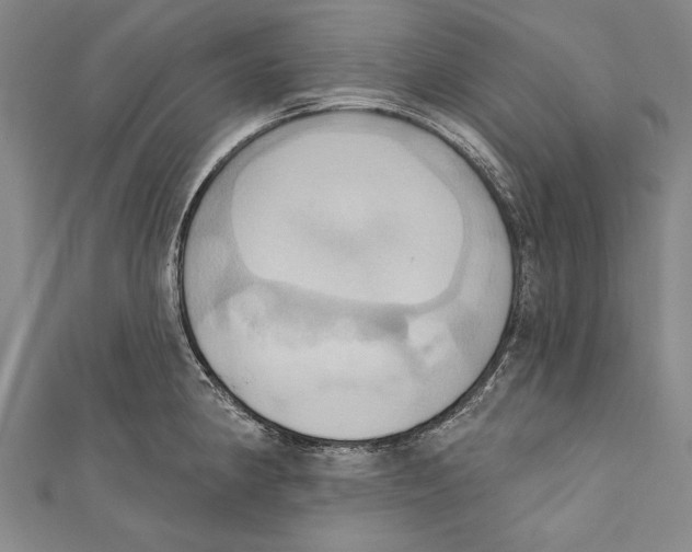 X0000110681190200907101121