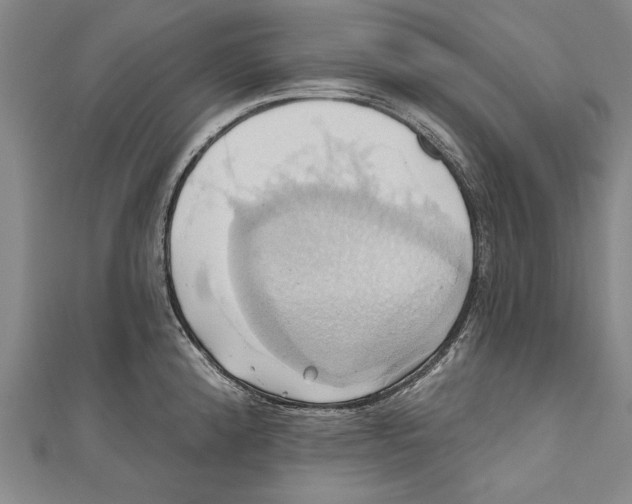 X0000110681192200907101121