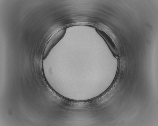 X0000110681193200907101121