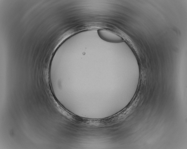 X0000110681194200907101121