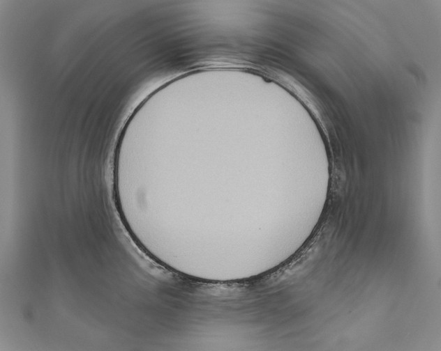 X0000110681195200907101121