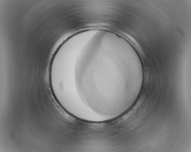 X0000110681196200907101121