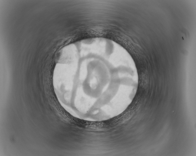 X0000110681201200907101120