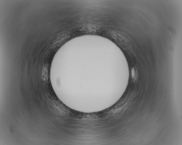 X0000110681203200907101120