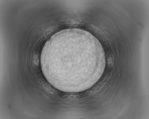 X0000110681204200907101120