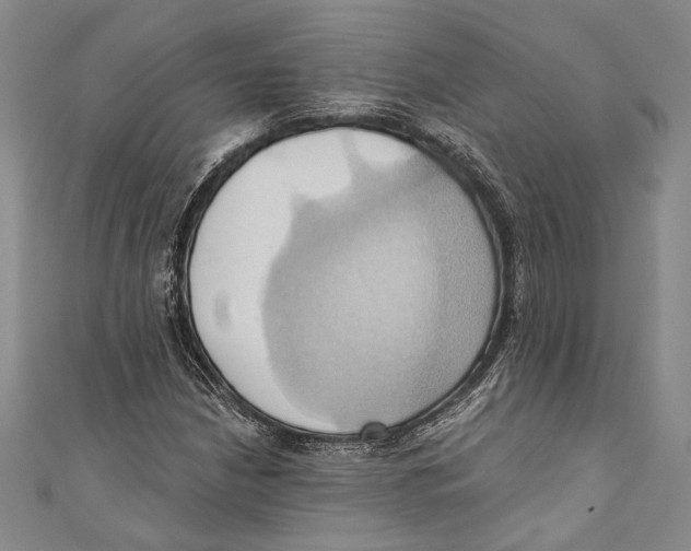 X0000110681210200907101120