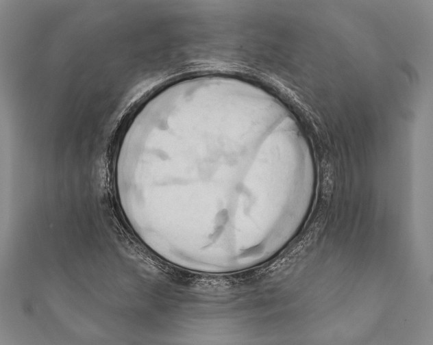 X0000110681215200907101120