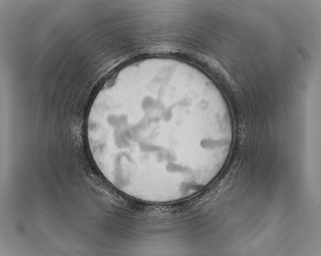 X0000110681217200907101120