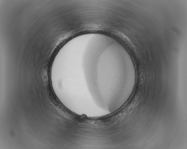 X0000110681218200907101120