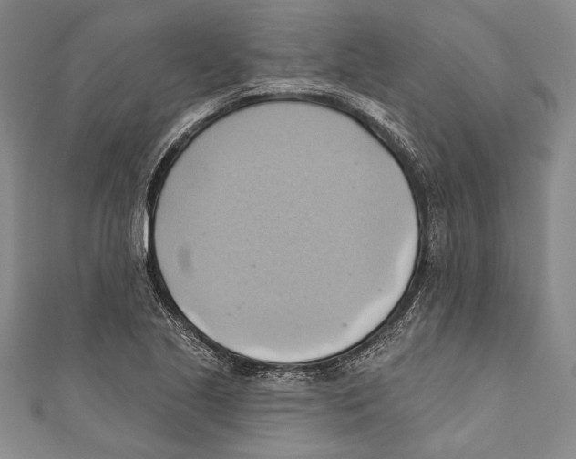 X0000110681221200907101120