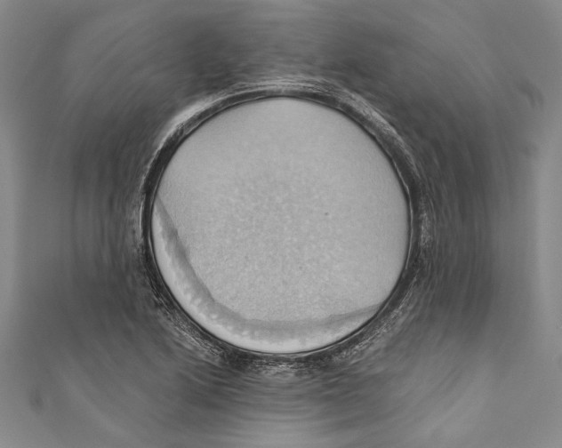 X0000110681222200907101120