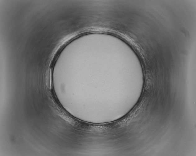 X0000110681223200907101120