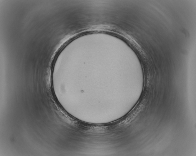 X0000110681224200907101120