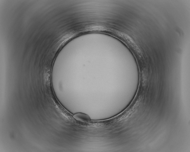 X0000110681225200907101120