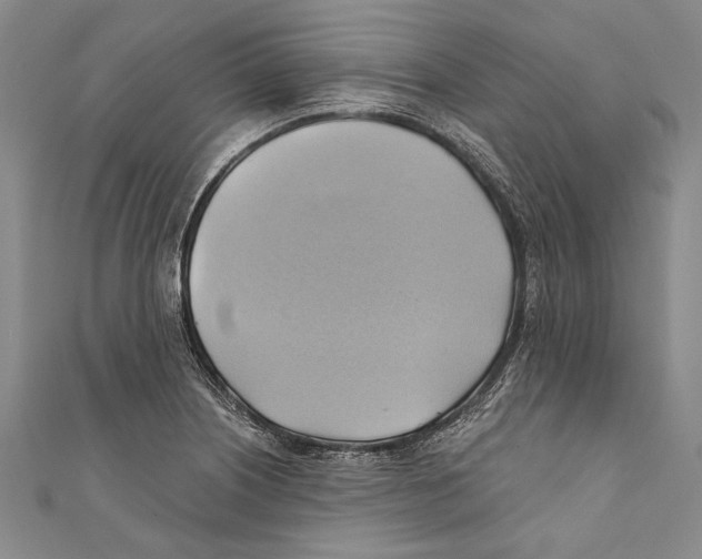 X0000110681226200907101120