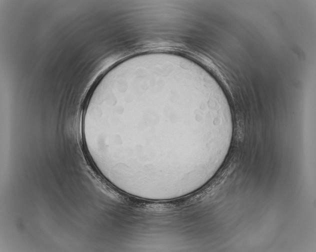 X0000110681227200907101121