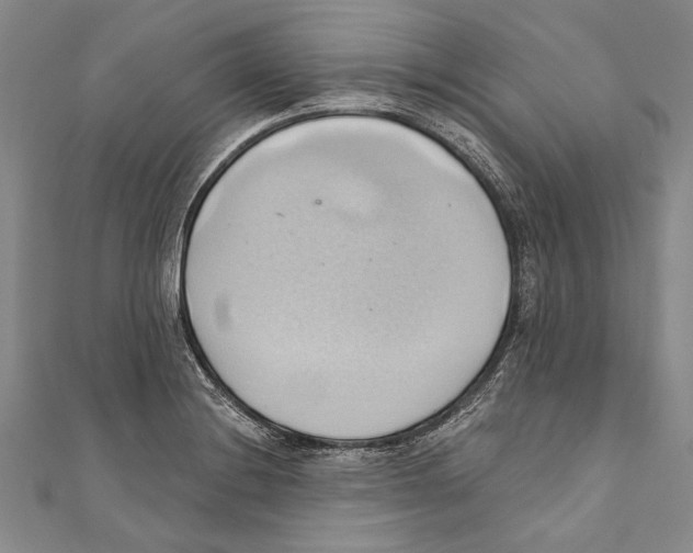 X0000110681228200907101121