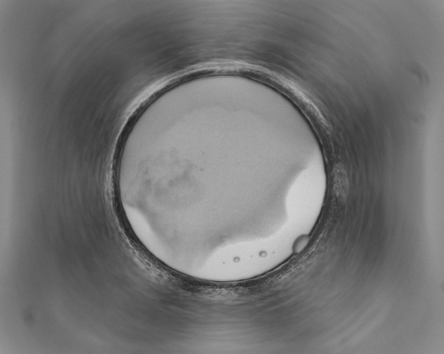 X0000110681229200907101121
